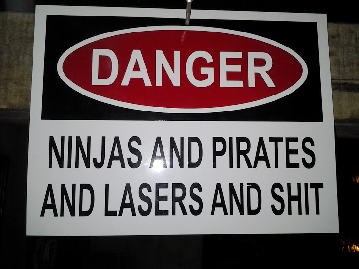 danger ninjas and pirates and lasers and shit